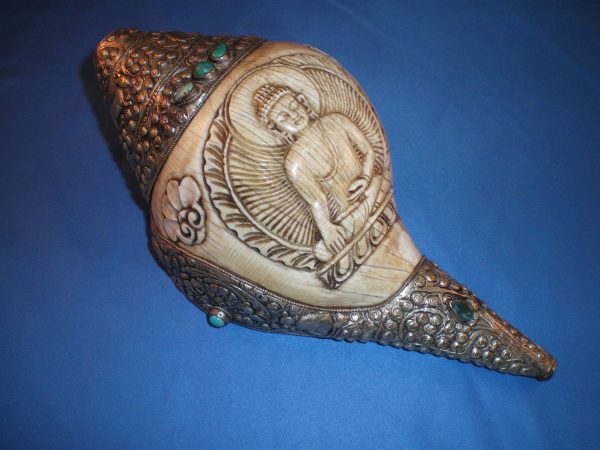conch-shell
